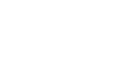 DevsafeX Logo